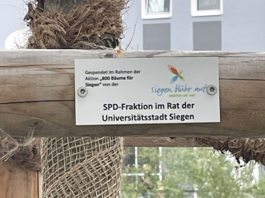 Dieses Hinweisschild wurde nun an der Baumspende der SPD-Fraktion Siegen angebracht.