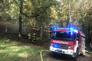 Detlef Rujanski, Vorsitzender der SPD-Fraktion Siegen, besuchte die Jahresübung der Feuerwehr Weidenau, bei der eine Wasserversorgung mittels langer Wegstrecke in den Weidenauer Tiergarten hergestellt werden musste.